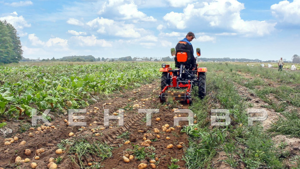 «Минитрактор Кентавр Т-8 LITE 6+2 (Toyokawa) STD agri 5,00-12 / 6,50-16 + (фреза/плуг)» - фото 10